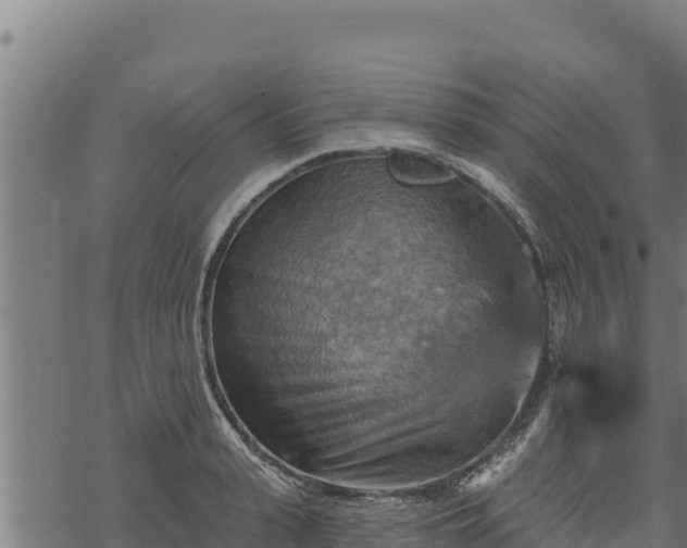 X0000068820943200605121312