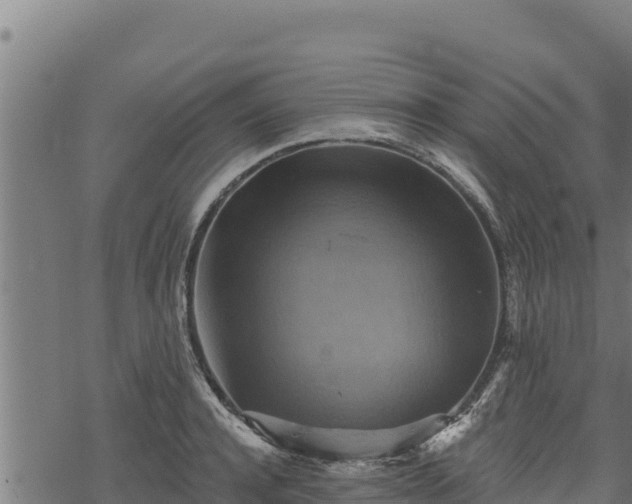 X0000068820944200605121312