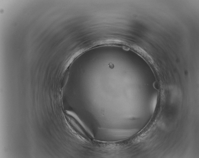 X0000068820945200605121312