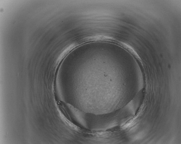 X0000068820946200605121312