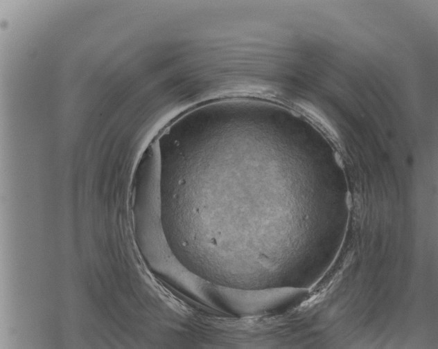 X0000068820948200605121312