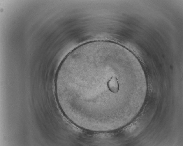 X0000068820950200605121312