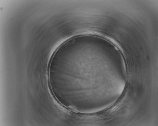 X0000068820951200605121312