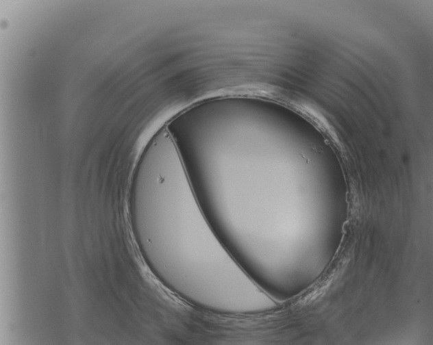 X0000068820952200605121312