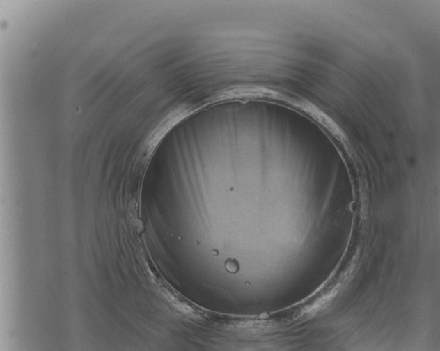 X0000068820953200605121312