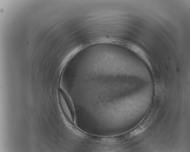 X0000068820954200605121312