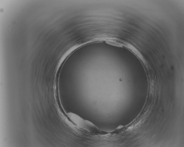 X0000068820955200605121312