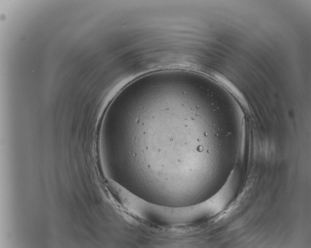 X0000068820956200605121312