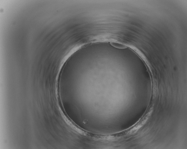 X0000068820957200605121312