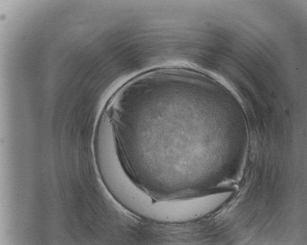 X0000068820959200605121312