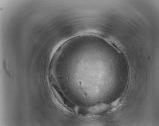 X0000068820960200605121312