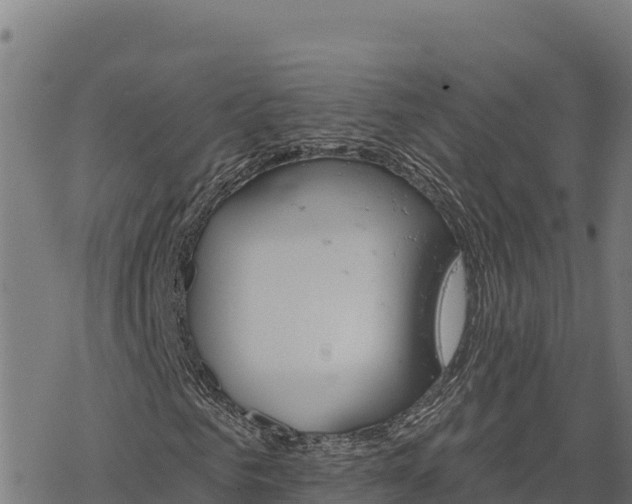 X0000068820961200605121312