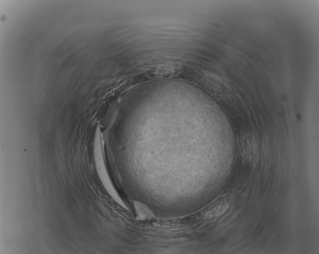 X0000068820962200605121312