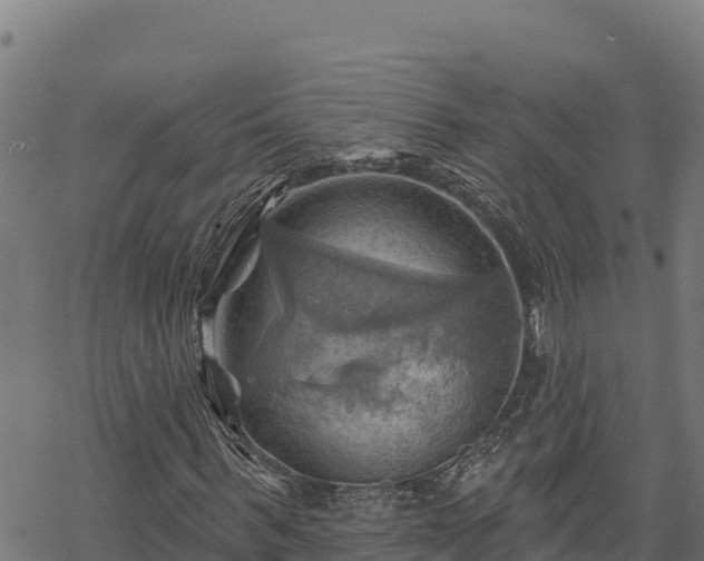 X0000068820963200605121312