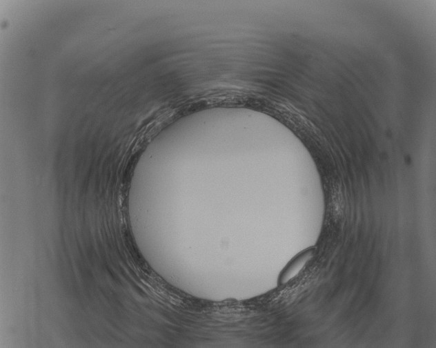 X0000068820964200605121312