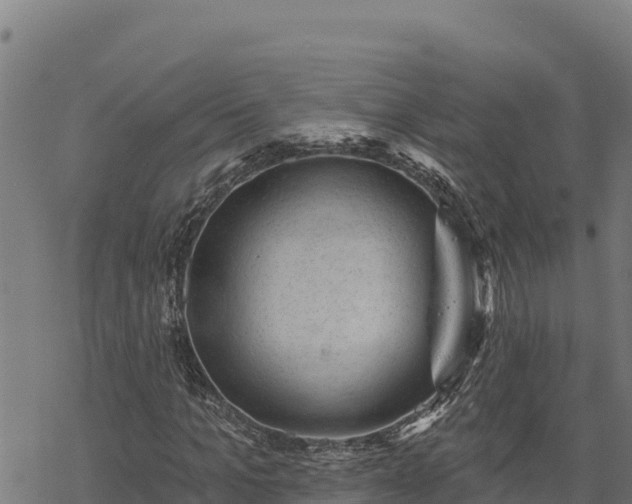 X0000068820965200605121312