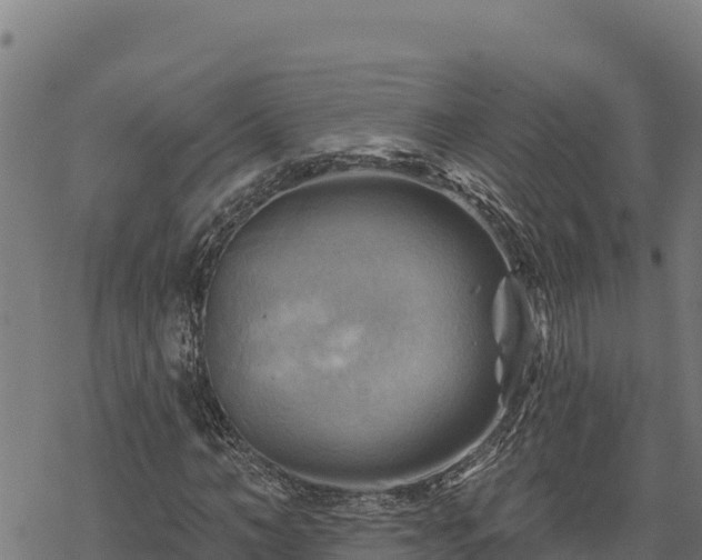 X0000068820966200605121312