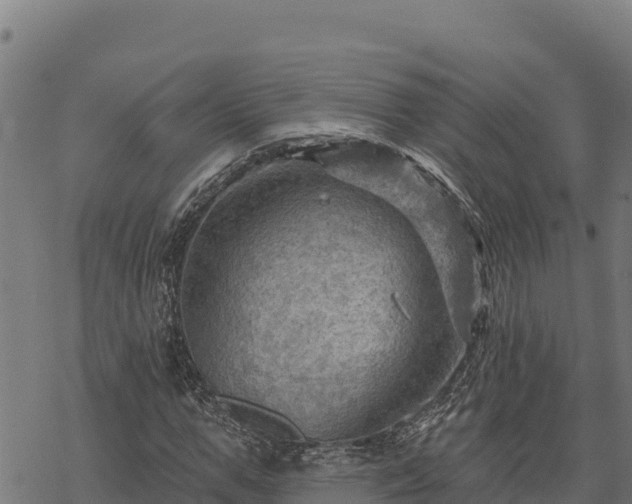 X0000068820967200605121312