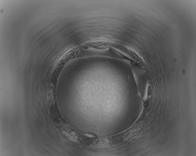 X0000068820968200605121312