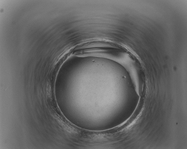 X0000068820969200605121312