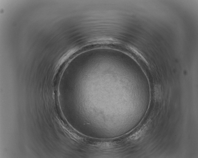 X0000068820970200605121312