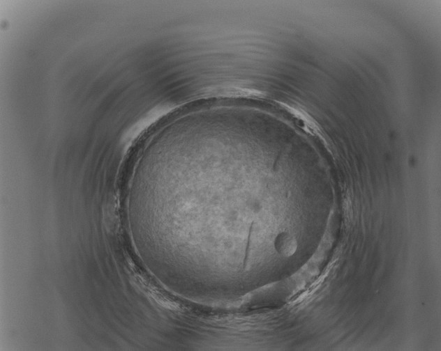 X0000068820971200605121312