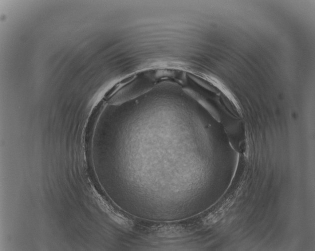 X0000068820972200605121311