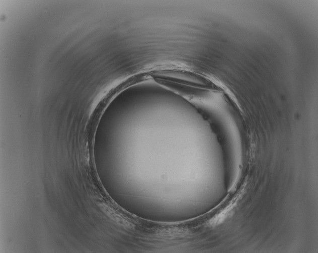 X0000068820973200605121311