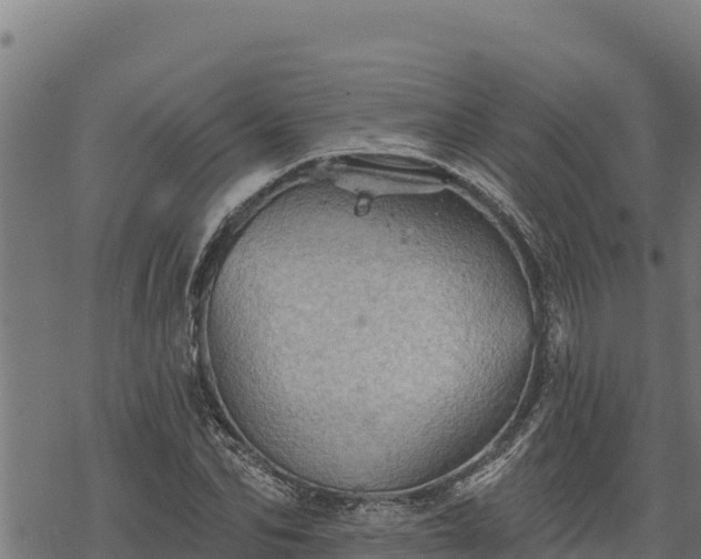 X0000068820974200605121311