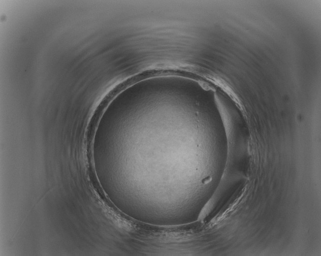 X0000068820976200605121311