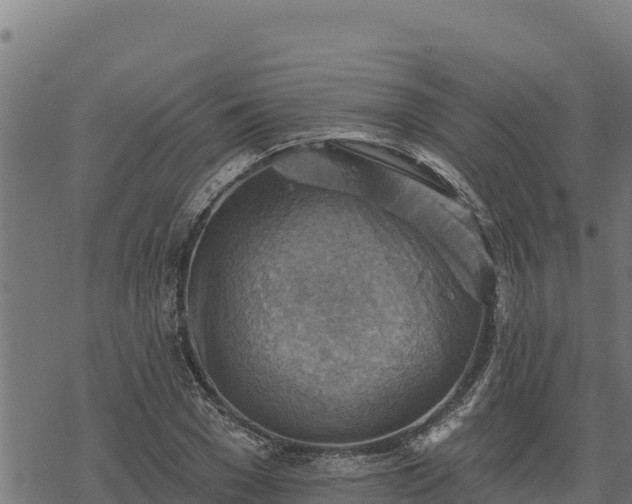 X0000068820977200605121311