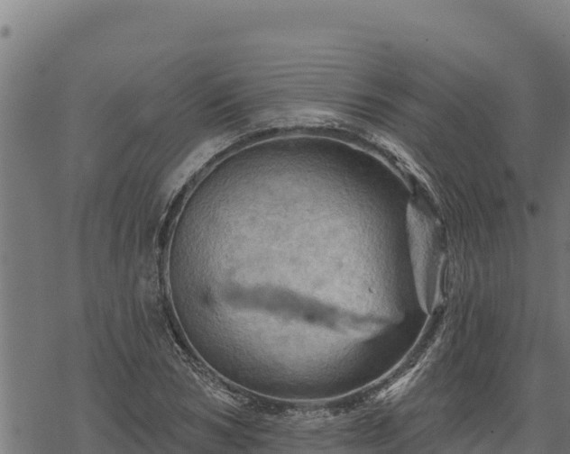 X0000068820978200605121311