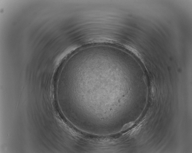 X0000068820979200605121311