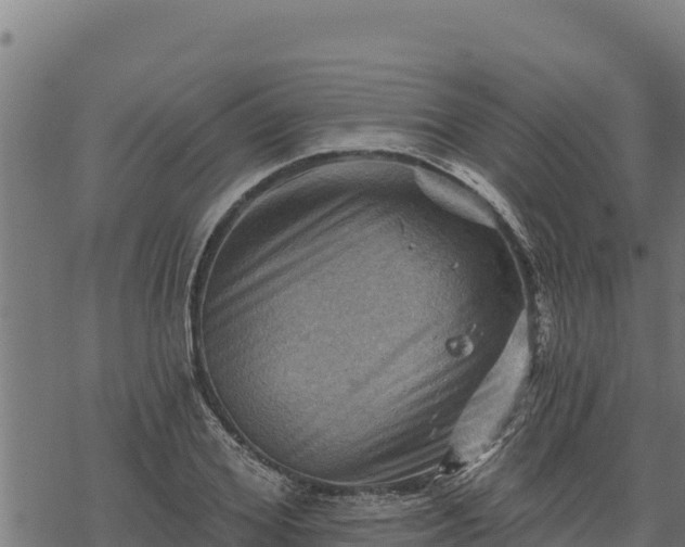 X0000068820980200605121311