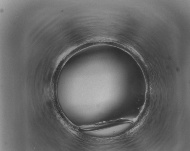 X0000068820981200605121311