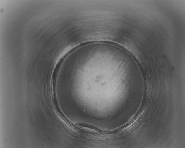 X0000068820982200605121311