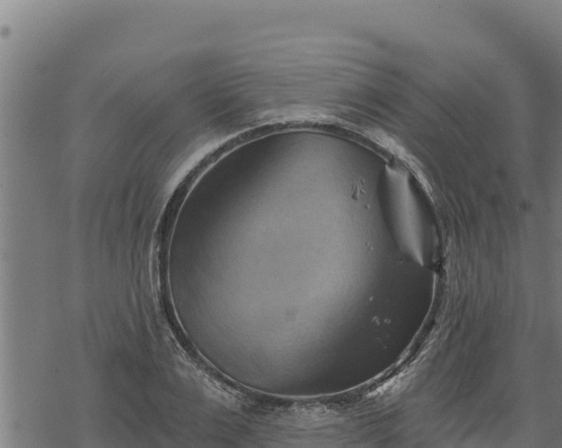 X0000068820983200605121311