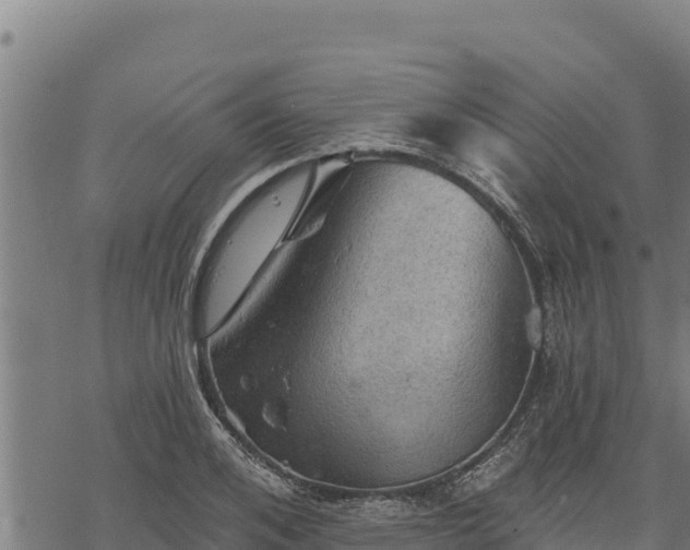 X0000068820984200605121311