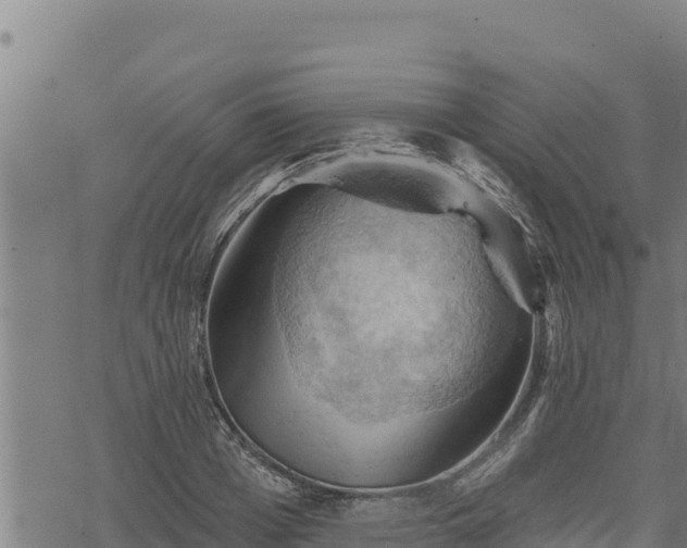 X0000068820985200605121311