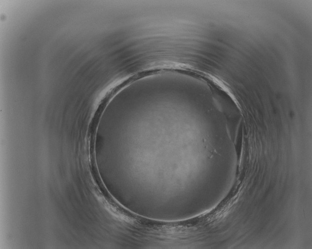 X0000068820987200605121311