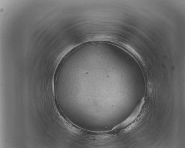 X0000068820988200605121311