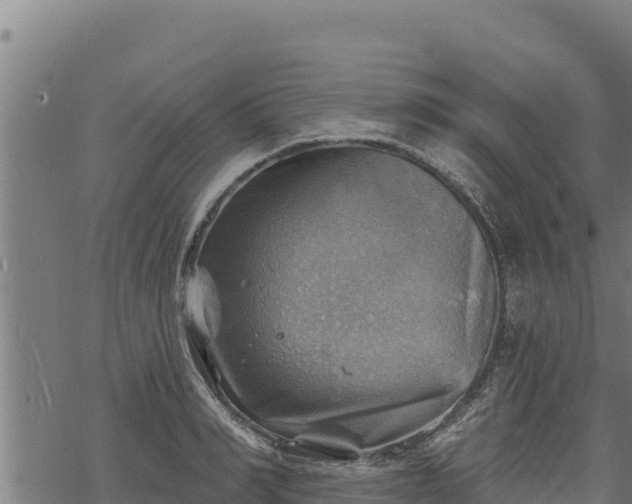 X0000068820990200605121311