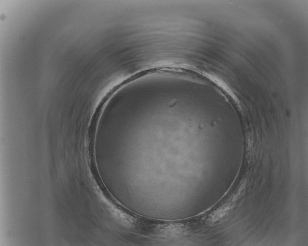 X0000068820991200605121311