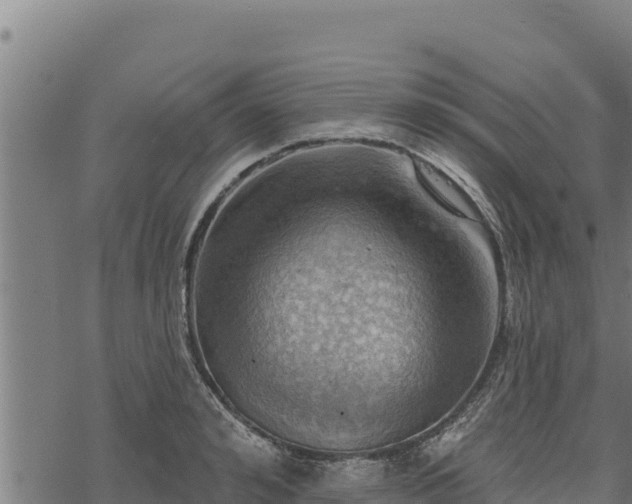 X0000068820992200605121311