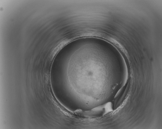 X0000068820993200605121311