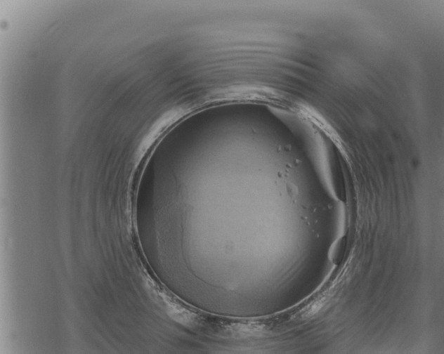 X0000068820994200605121311