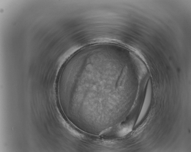 X0000068820995200605121311