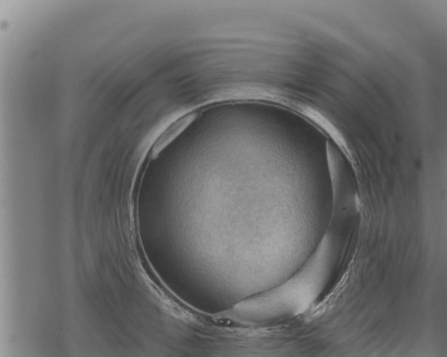 X0000068820996200605121311