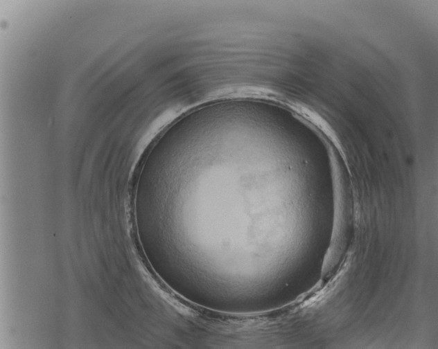 X0000068820997200605121311