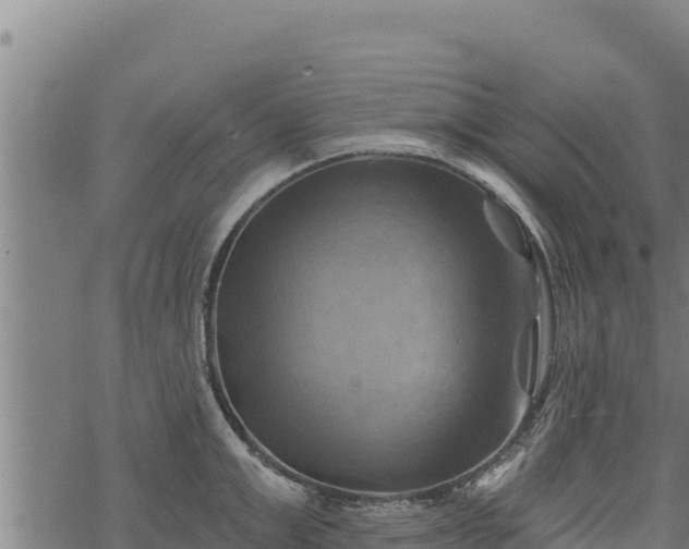 X0000068820999200605121311